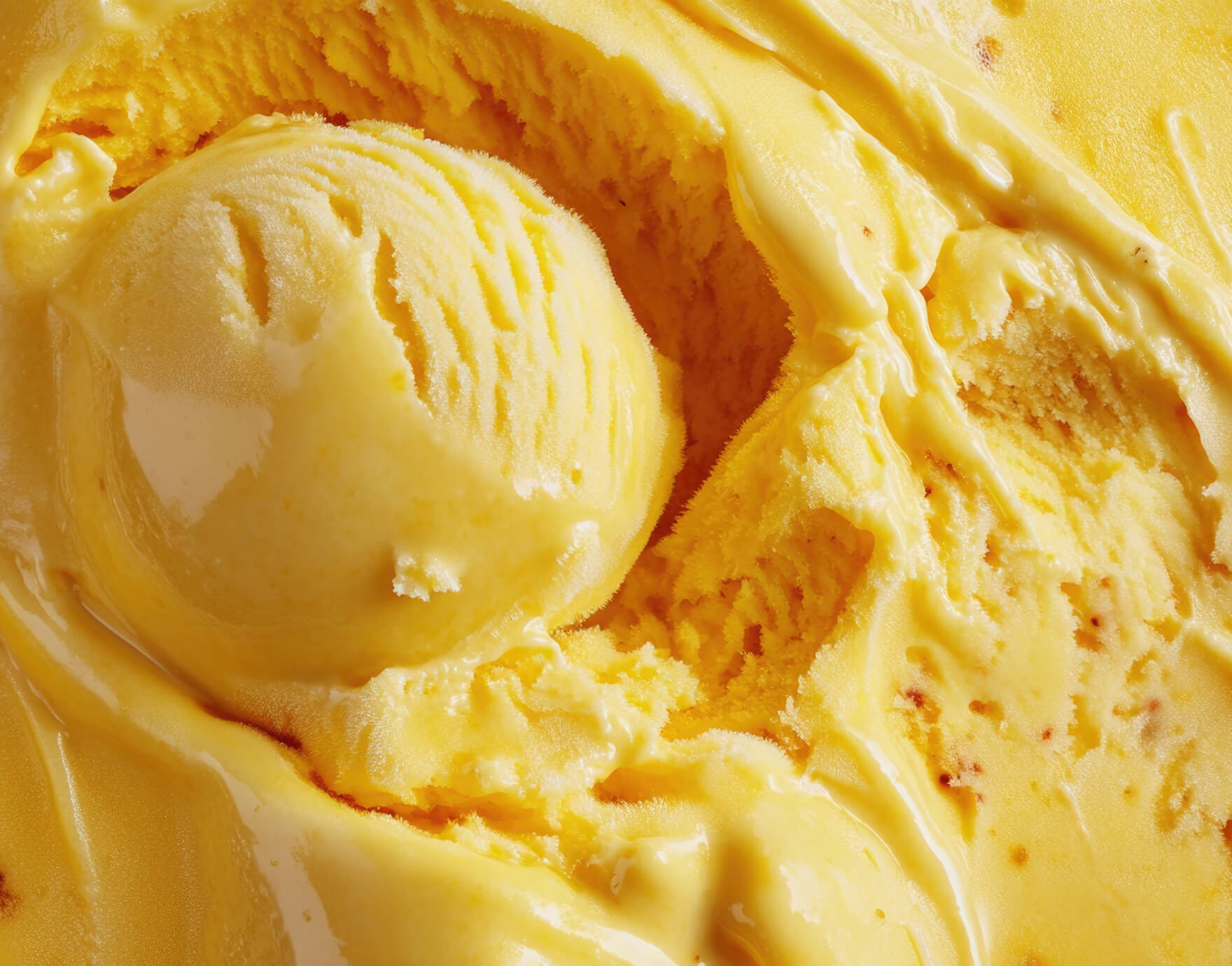 Recipes of the Moment